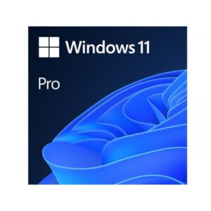 Microsoft Windows 11 Pro 64-Bit English 1pk