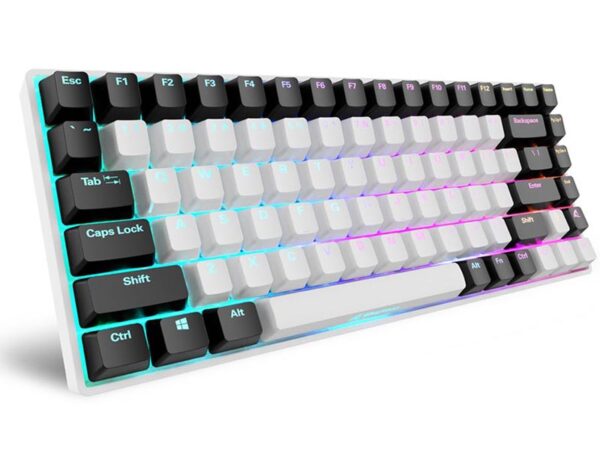 Sharkoon SKILLER SGK50 S3 75% Mechanical Gaming w/RGB Illumination - Gateron Yellow Switch